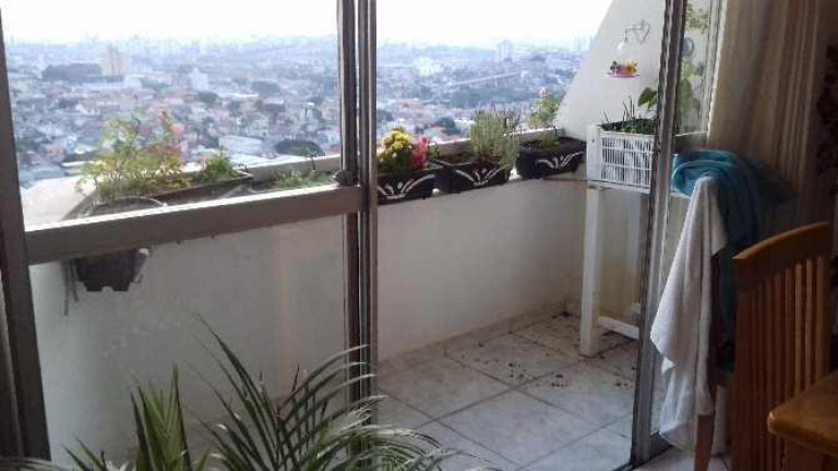 Imagem Apartamento com 3 Quartos à Venda, 71 m² em Vila Laís - São Paulo Imagem Apartamento com 3 Quartos à Venda, 71 m² em Vila Laís - São Paulo