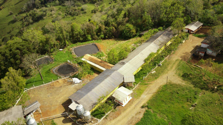 Imagem Imóvel à Venda, 133.000 m² em Rural - Concórdia Imagem Imóvel à Venda, 133.000 m² em Rural - Concórdia