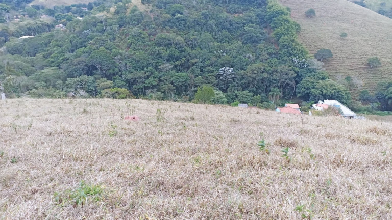 Imagem Chácara com 2 Quartos à Venda, 250 m² em Centro - Paraibuna
