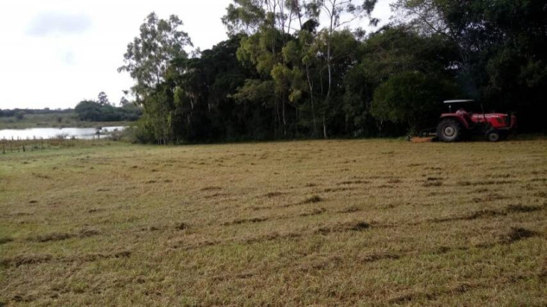 Imagem Chácara à Venda, 5.536 m² em águas Claras - Viamão