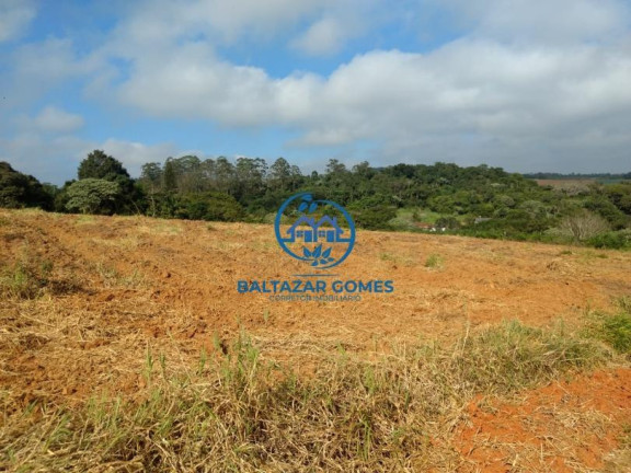 Imagem Imóvel com 2 Quartos à Venda, 20.000 m² em Cocuera - Mogi Das Cruzes