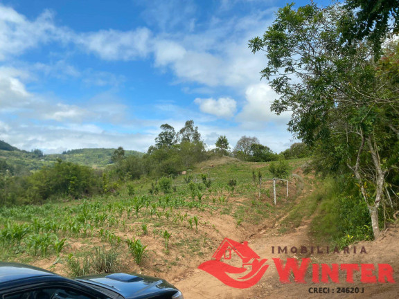 Imagem Chácara à Venda, 63.000 m² em São Roque - Feliz Imagem Chácara à Venda, 63.000 m² em São Roque - Feliz