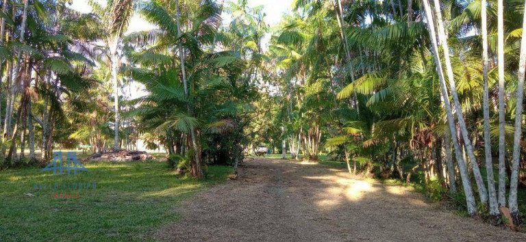 Imagem Fazenda à Venda, 2.190.000 m² em Alça Viaria - Acará Imagem Fazenda à Venda, 2.190.000 m² em Alça Viaria - Acará