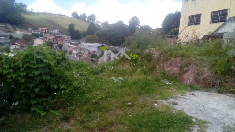 Imagem Terreno à Venda, 250 m² em Floresta Negra - Campos Do Jordão Imagem Terreno à Venda, 250 m² em Floresta Negra - Campos Do Jordão
