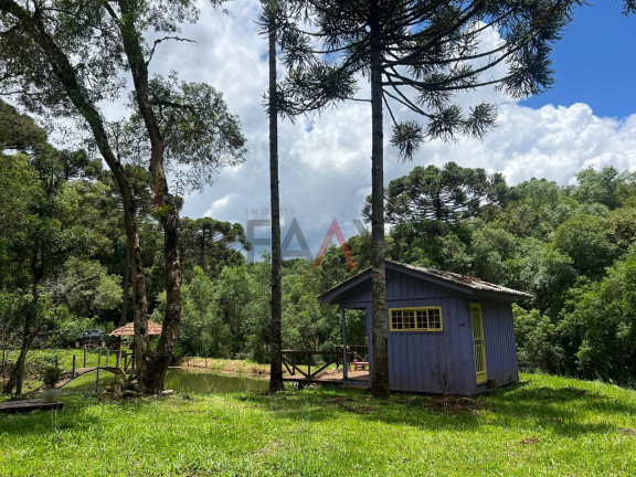 Imagem Fazenda à Venda, 5 m² em Rio Das Pedras - Guarapuava Imagem Fazenda à Venda, 5 m² em Rio Das Pedras - Guarapuava