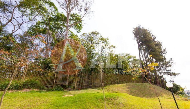 Imagem Apartamento com 2 Quartos à Venda, 50 m² em Jardim Caiapiá - Cotia Imagem Apartamento com 2 Quartos à Venda, 50 m² em Jardim Caiapiá - Cotia