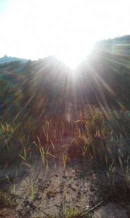 Imagem Terreno à Venda, 34 m² em Terra Preta - Mairiporã