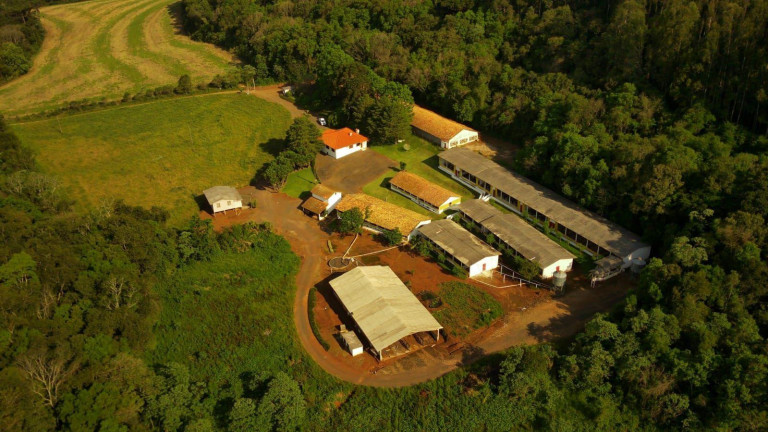 Imagem Imóvel à Venda, 172.000 m² em Rural - Concórdia Imagem Imóvel à Venda, 172.000 m² em Rural - Concórdia
