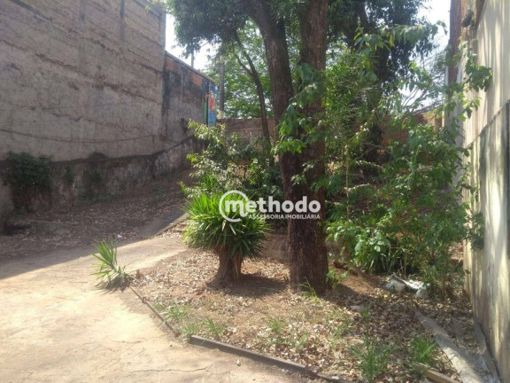 Imagem Casa com 2 Quartos à Venda, 66 m² em Parque São Quirino - Campinas Imagem Casa com 2 Quartos à Venda, 66 m² em Parque São Quirino - Campinas