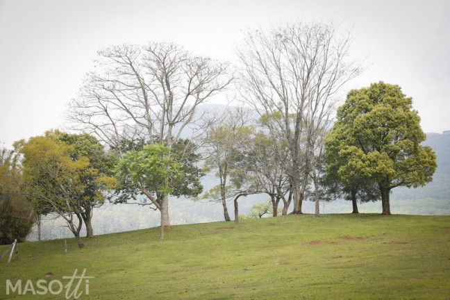 Imagem Chácara à Venda, 30.000 m² em Linha 28 - Gramado Imagem Chácara à Venda, 30.000 m² em Linha 28 - Gramado