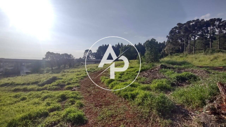 Imagem Terreno à Venda, 3.080 m² em Cará-cará - Ponta Grossa