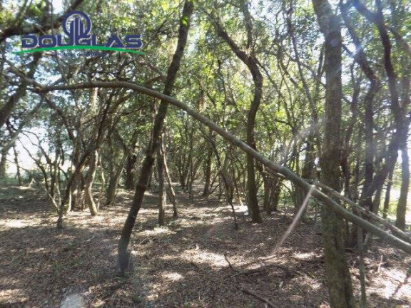Imagem Chácara à Venda, 20.000 m² em águas Claras - Viamão