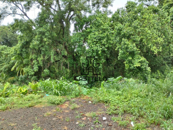 Imagem Terreno à Venda, 453 m² em Monte Carlo - Londrina Imagem Terreno à Venda, 453 m² em Monte Carlo - Londrina