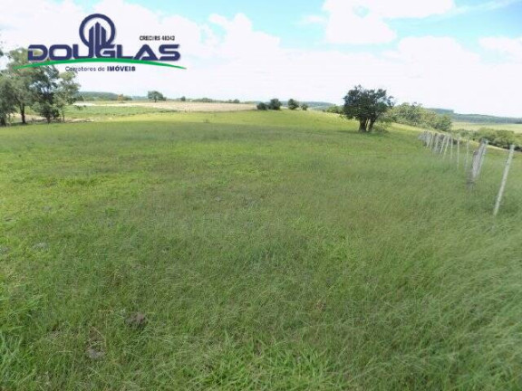 Imagem Chácara com 2 Quartos à Venda, 190.000 m² em Viamão