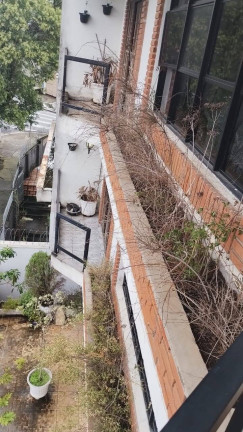 Imagem Sala Comercial para Alugar,  em Taboão - São Bernardo Do Campo