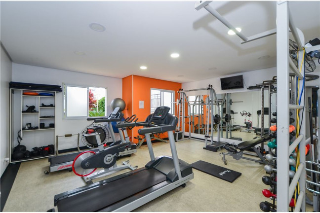 Imagem Apartamento com 3 Quartos à Venda, 74 m² em Vila Monumento - São Paulo