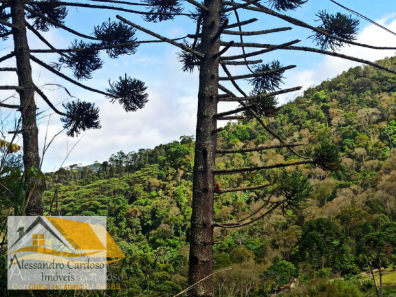 Imagem Terreno à Venda, 20.000 m² em Rio Grande De Cima - Nova Friburgo Imagem Terreno à Venda, 20.000 m² em Rio Grande De Cima - Nova Friburgo