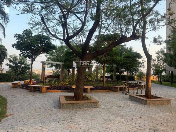 Imagem Apartamento com 3 Quartos à Venda, 62 m² em Alto Do Ipiranga - Ribeirão Preto Imagem Apartamento com 3 Quartos à Venda, 62 m² em Alto Do Ipiranga - Ribeirão Preto