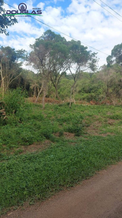 Imagem Terreno à Venda, 2.000 m² em águas Claras - Viamão