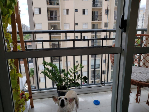 Imagem Apartamento com 2 Quartos à Venda, 50 m² em Mooca - São Paulo Imagem Apartamento com 2 Quartos à Venda, 50 m² em Mooca - São Paulo
