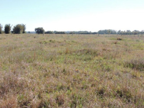 Imagem Terreno à Venda, 1.000 m² em Morro Grande - Viamão Imagem Terreno à Venda, 1.000 m² em Morro Grande - Viamão