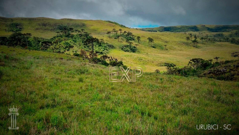Imagem Terreno à Venda, 20.000 m² em Santo Antônio - Urubici Imagem Terreno à Venda, 20.000 m² em Santo Antônio - Urubici