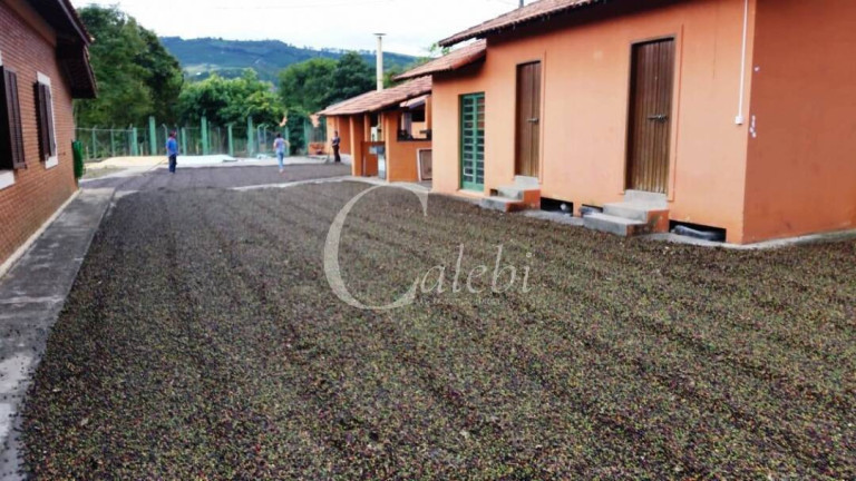 Imagem Chácara à Venda, 5 m² em Albertina Imagem Chácara à Venda, 5 m² em Albertina