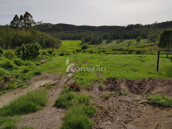 Imagem Fazenda à Venda, 90 m² em Centro - São Luíz Do Paraitinga Imagem Fazenda à Venda, 90 m² em Centro - São Luíz Do Paraitinga