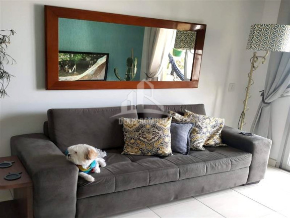 Imagem Apartamento com 3 Quartos à Venda, 58 m² em Parque Mandaqui - São Paulo