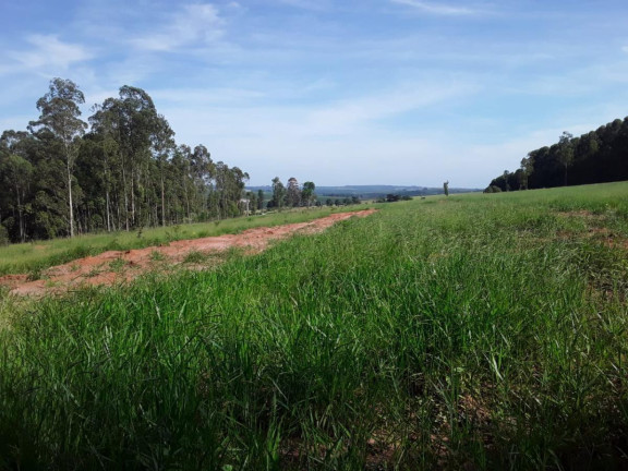 Imagem Chácara à Venda, 15 m² em Area Rural De Avaré - Avaré