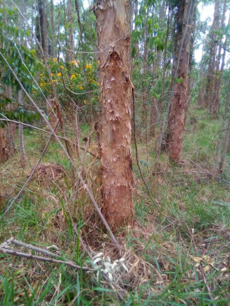 Imagem Terreno à Venda, 1 m² em Parque Santo Antônio - Jacareí Imagem Terreno à Venda, 1 m² em Parque Santo Antônio - Jacareí