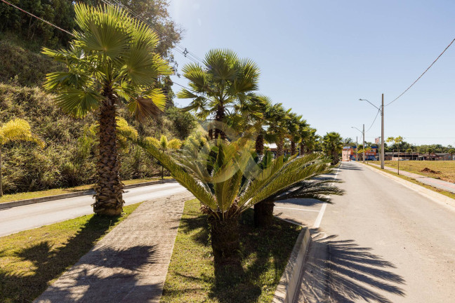 Imagem Terreno à Venda, 240 m² em Araquari