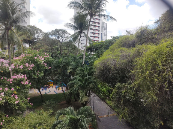 Apartamento com 4 Quartos para Alugar, 234 m² em Monteiro - Recife