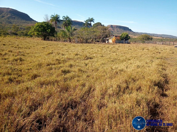 Imagem Fazenda à Venda, 38 m² em Zona Rural - Caiapônia Imagem Fazenda à Venda, 38 m² em Zona Rural - Caiapônia