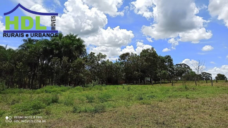 Imagem Fazenda à Venda, 21 m² em Zona Rural - Hidrolândia Imagem Fazenda à Venda, 21 m² em Zona Rural - Hidrolândia