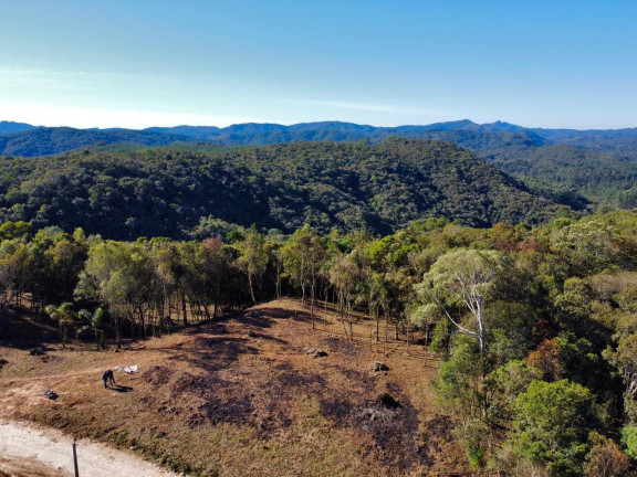 Imagem Chácara com 1 Quarto à Venda, 20.000 m² em Faxina - Campo Largo