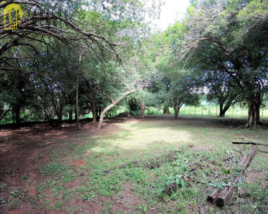 Imagem Terreno à Venda, 20 m² em Santa Rosa - Sarzedo Imagem Terreno à Venda, 20 m² em Santa Rosa - Sarzedo