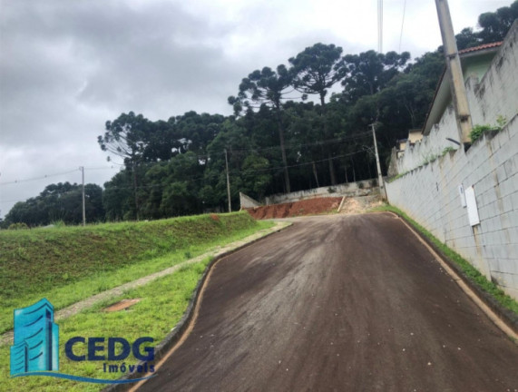 Imagem Terreno em Condomínio à Venda, 608 m² em Ferraria - Campo Largo Imagem Terreno em Condomínio à Venda, 608 m² em Ferraria - Campo Largo