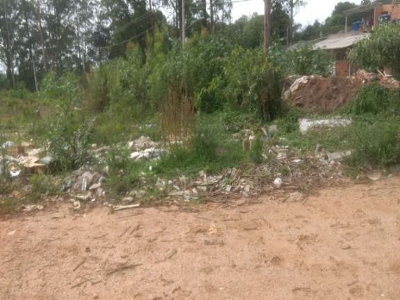 Imagem Terreno à Venda, 55.000 m² em Colônia (zona Leste) - São Paulo