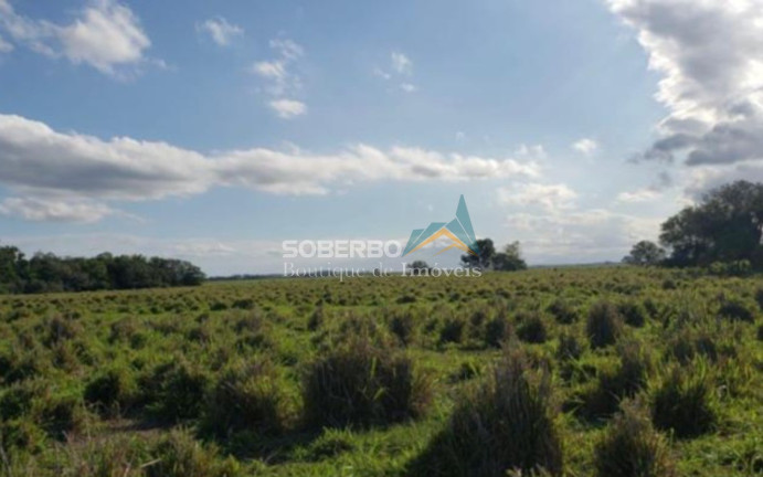Imagem Imóvel à Venda, 4.444.270 m² em Ponta Da Lama - Campos Dos Goytacazes Imagem Imóvel à Venda, 4.444.270 m² em Ponta Da Lama - Campos Dos Goytacazes