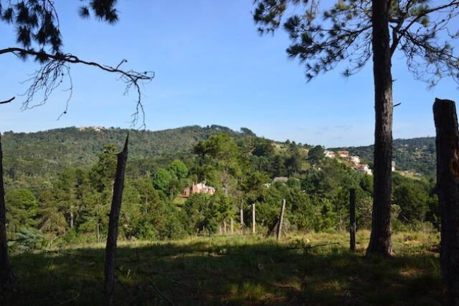 Imagem Terreno à Venda, 75 m² em Vale Encantado - Campos Do Jordão Imagem Terreno à Venda, 75 m² em Vale Encantado - Campos Do Jordão