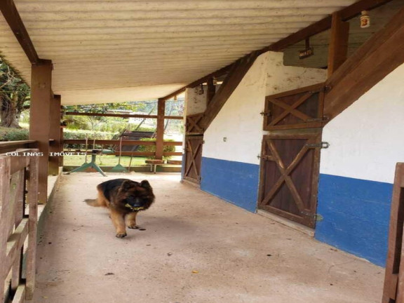 Imagem Imóvel com 3 Quartos à Venda, em Depois Do Centro - Ibiúna Imagem Imóvel com 3 Quartos à Venda, em Depois Do Centro - Ibiúna