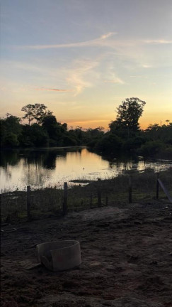 Imagem Fazenda à Venda, 3.100 m² em Rural - Porto Alegre Do Norte