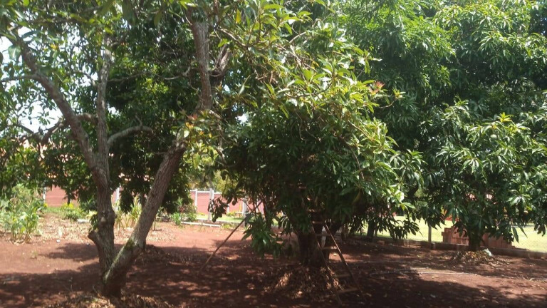 Imagem Casa com 7 Quartos à Venda, 500 m² em Centro - Boituva Imagem Casa com 7 Quartos à Venda, 500 m² em Centro - Boituva
