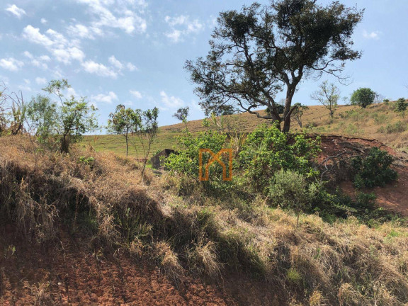 Imagem Fazenda à Venda, 17.000 m² em área Rural De Itajubá - Itajubá