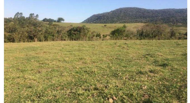 Imagem Fazenda à Venda, 285 m² em Serra De Botucatu - Bofete Imagem Fazenda à Venda, 285 m² em Serra De Botucatu - Bofete