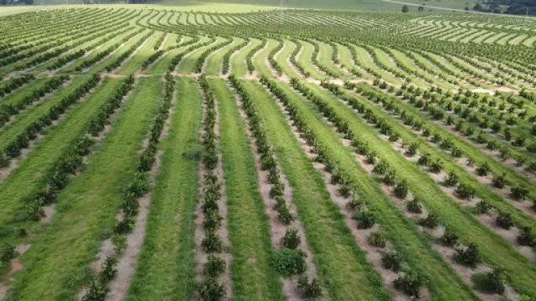 Imagem Fazenda à Venda, 121 m² em Rio Pardo - águas De Santa Bárbara Imagem Fazenda à Venda, 121 m² em Rio Pardo - águas De Santa Bárbara