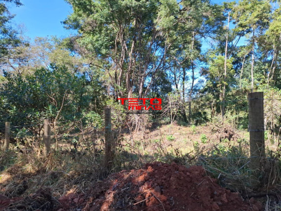 Imagem Imóvel à Venda,  em Bairro Cachoeira - Dom Viçoso