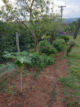 Imagem Chácara com 2 Quartos à Venda, 3 m² em Centro - Socorro Imagem Chácara com 2 Quartos à Venda, 3 m² em Centro - Socorro