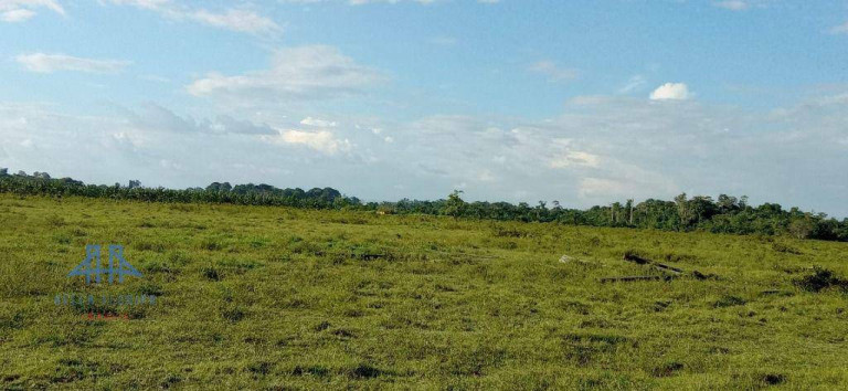 Imagem Fazenda à Venda, 2.190.000 m² em Alça Viaria - Acará Imagem Fazenda à Venda, 2.190.000 m² em Alça Viaria - Acará
